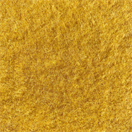 Velour Broadloom - Yellow - per sqm